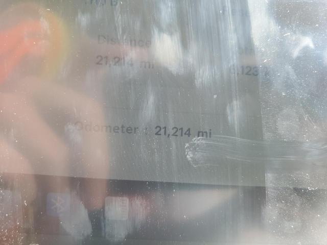 2024 TESLA MODEL Y 7SAYGDEEXRF065160
