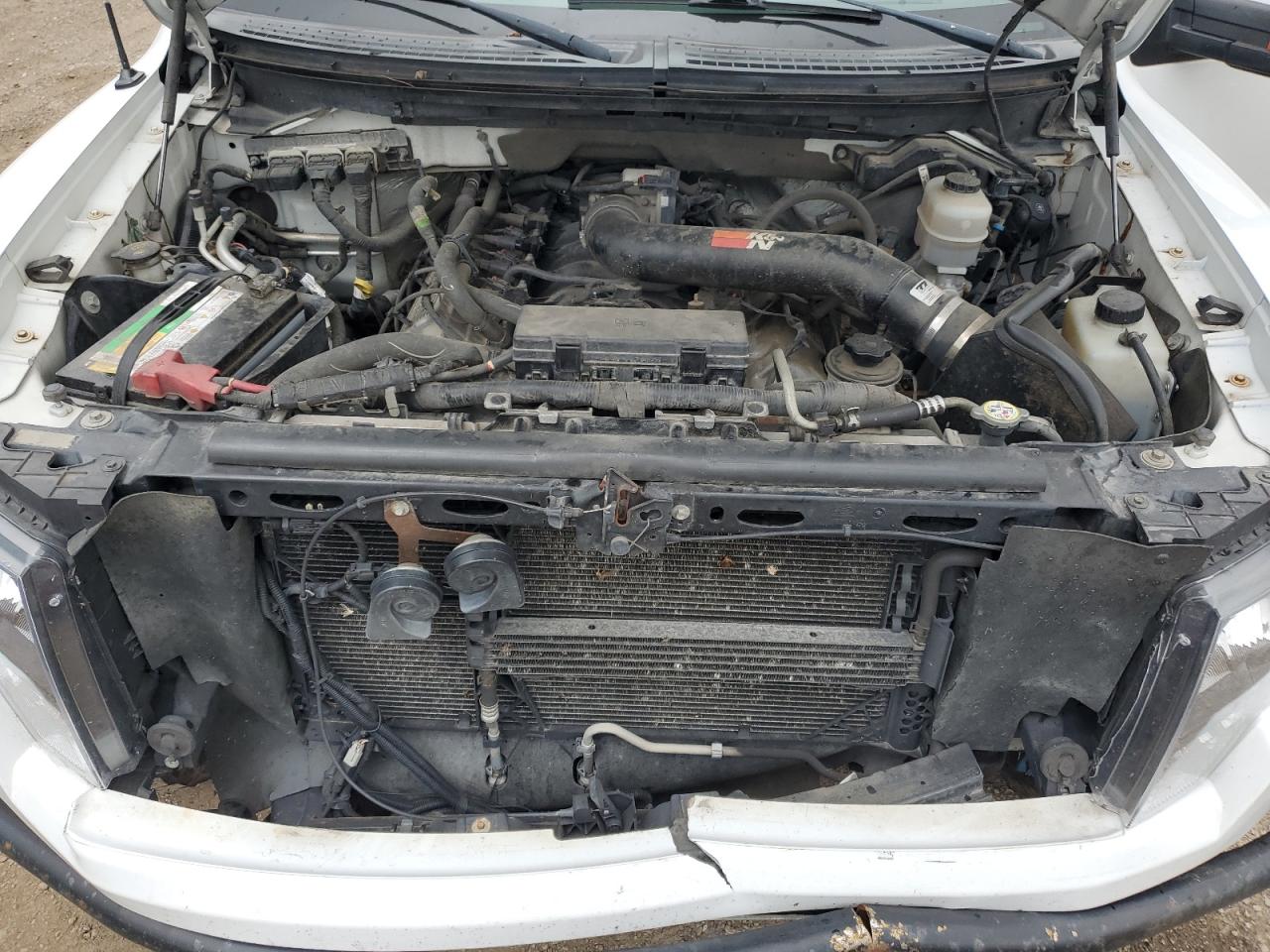 Lot #3304837538 2010 FORD F150 SUPER