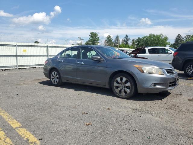 2010 HONDA ACCORD EXL - 5KBCP3F81AB006109