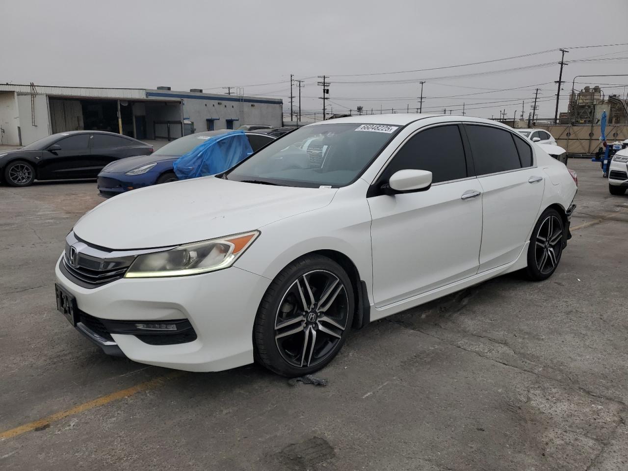 HONDA ACCORD SPORT SPECIAL EDITION