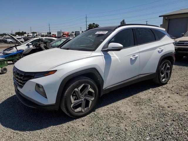 2023 HYUNDAI TUCSON LIM - KM8JECA19PU112521