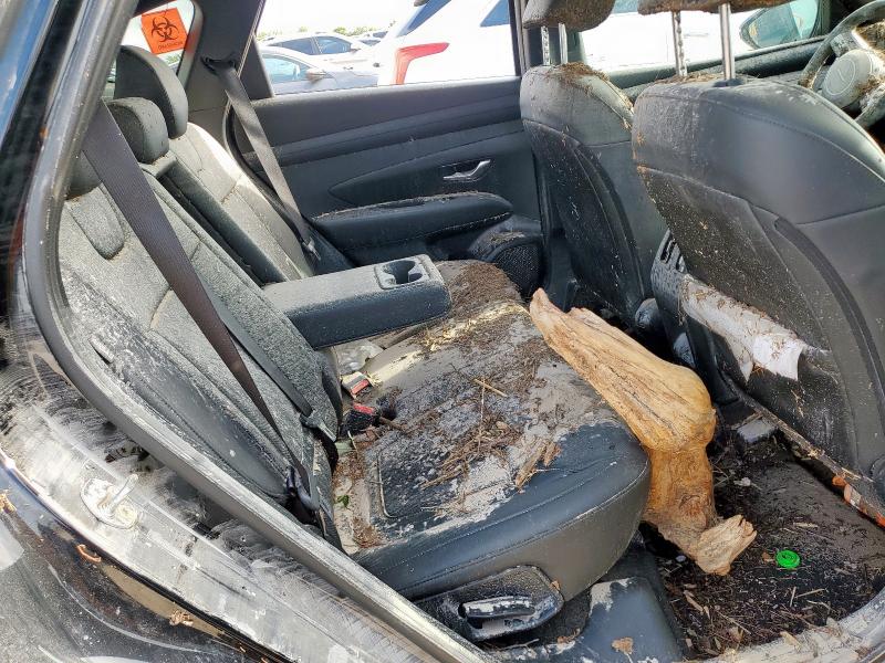 2025 HYUNDAI TUCSON XRT 5NMJFCDE3SH521128
