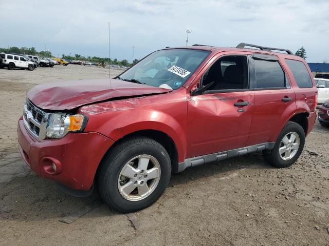 Vin: 1fmcu9dg8cka63185, lot: 64133205, ford escape xlt 2012 img_1