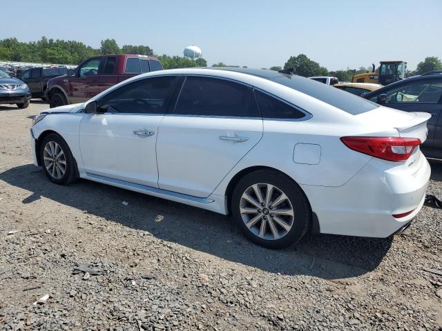 2016 HYUNDAI SONATA SPO - 5NPE34AFXGH298769