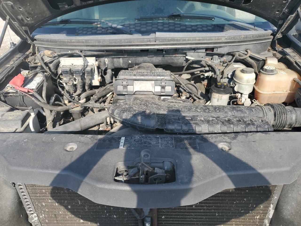 Lot #3206255119 2005 FORD F150