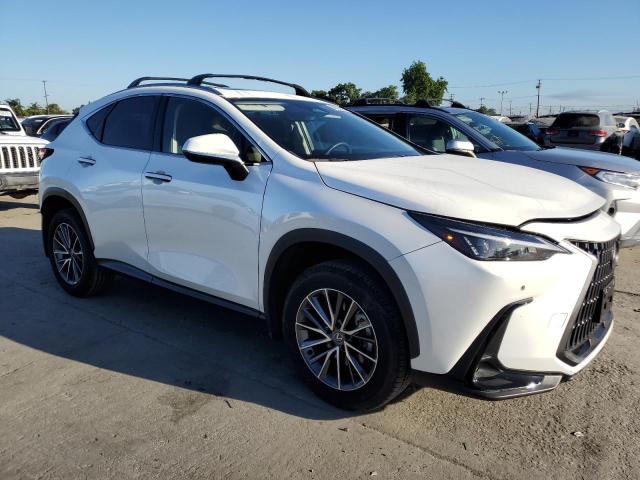 2025 LEXUS NX 250 BAS JTJADCAZ0S2016372