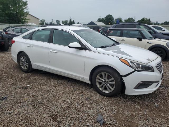 2015 HYUNDAI SONATA 5NPE24AF8FH204549