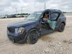 2025 KIA TELLURIDE - 5XYP5DGC7SG636404