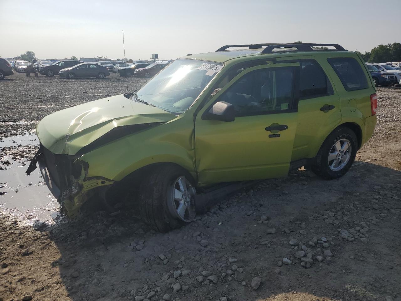 Lot #3247009236 2012 FORD ESCAPE XLT