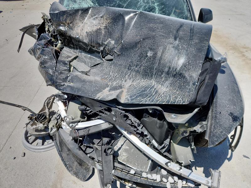 2026 TESLA MODEL Y 7SAYGDEE1TA406322