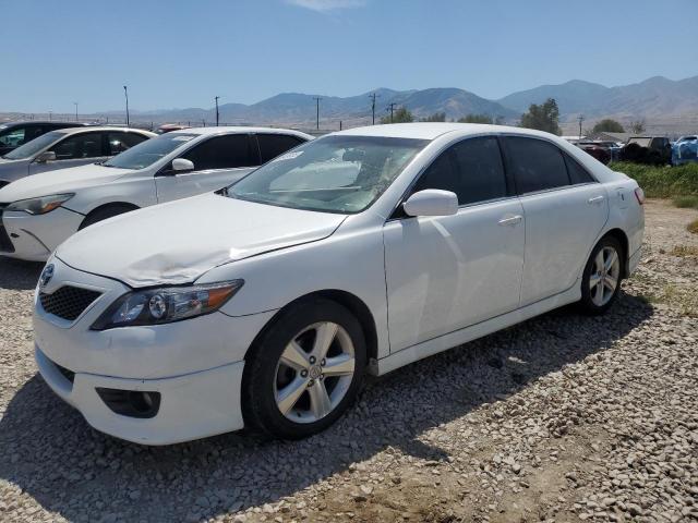 2010 TOYOTA CAMRY BASE - 4T1BF3EK0AU555054