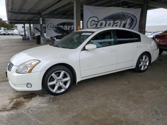 NISSAN MAXIMA SE