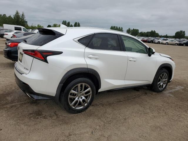 2020 LEXUS NX 300 JTJGARDZ1L5005723