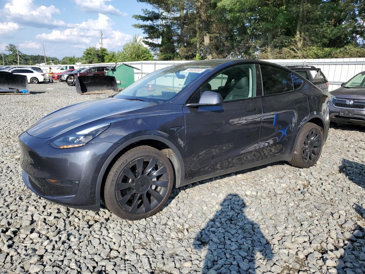 TESLA MODEL Y