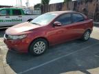 Top Destinations for Shipping Cars from the USA