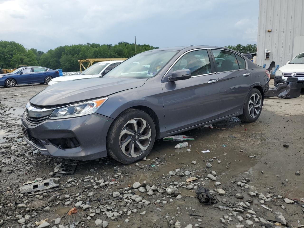 HONDA ACCORD EX