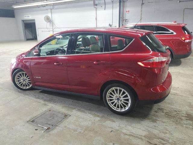 2013 FORD C-MAX SEL - 1FADP5BU0DL552201