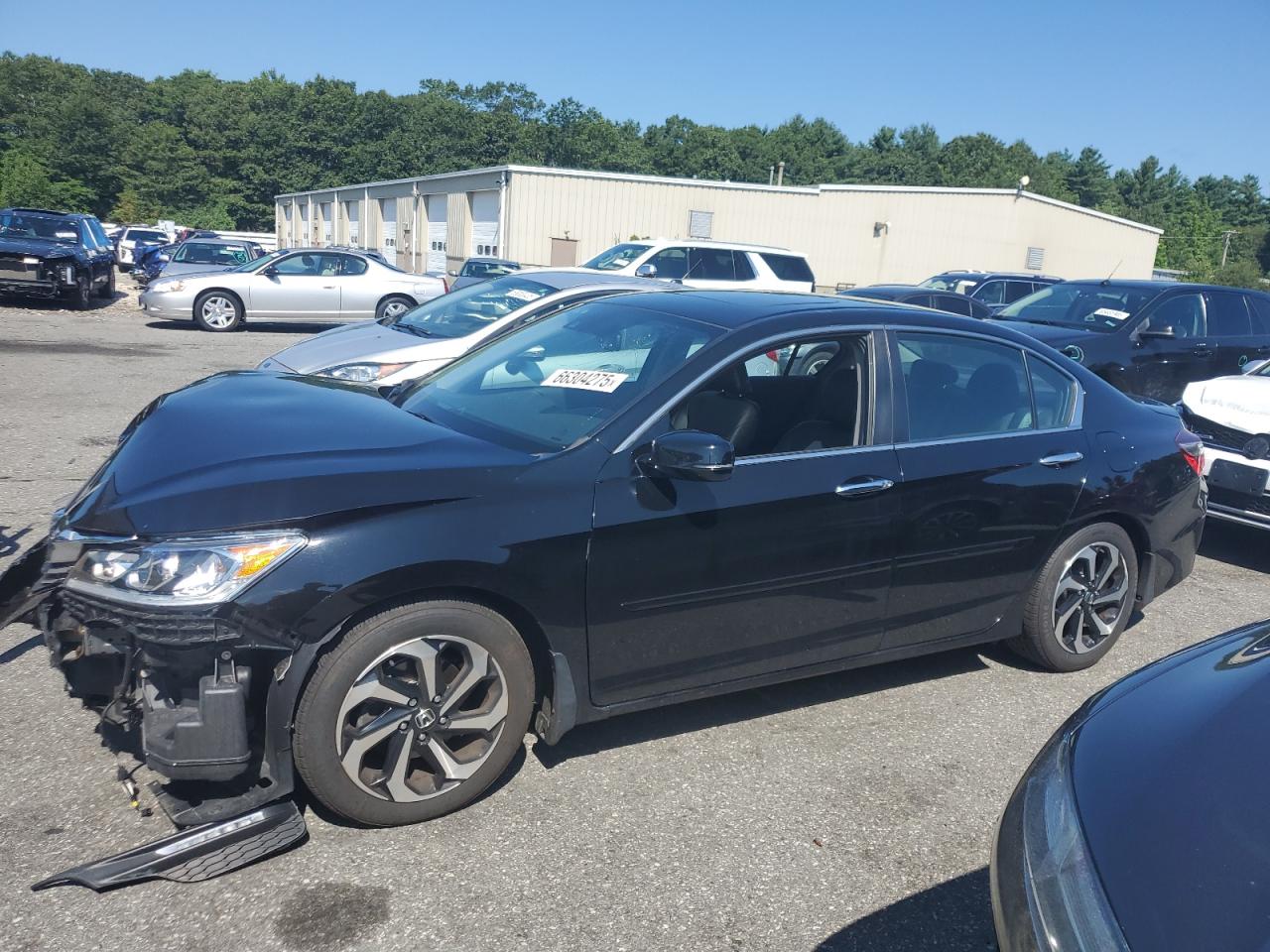 HONDA ACCORD EXL