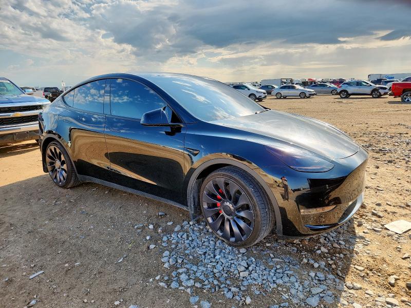 2023 TESLA MODEL Y 7SAYGDEF8PF664810