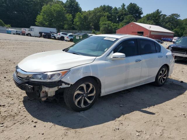 HONDA ACCORD EXL