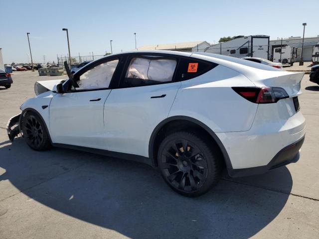 2020 TESLA MODEL Y 5YJYGDEE5LF055513