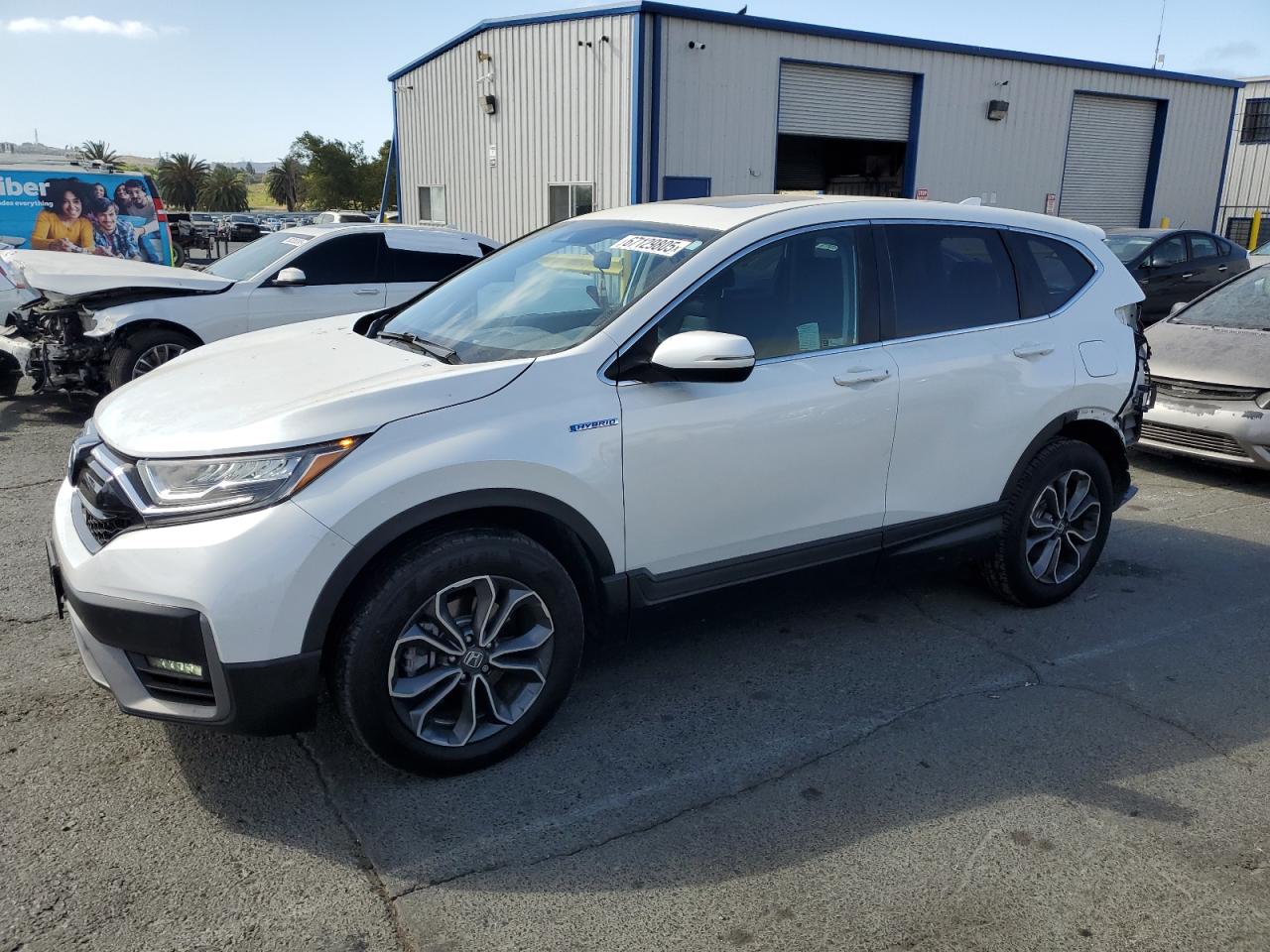 HONDA CR-V EX