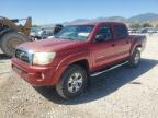 Top Destinations for Shipping Cars from the USA