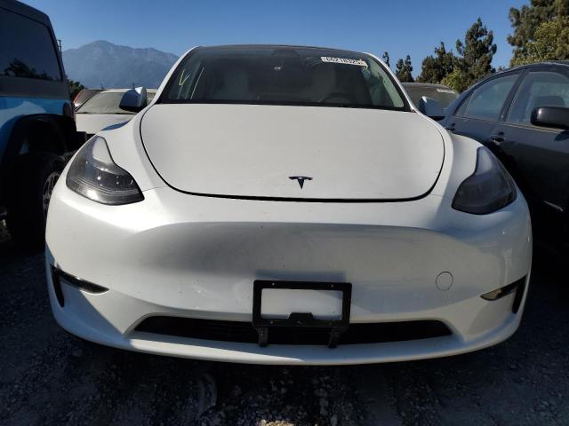 2023 TESLA MODEL Y 7SAYGDEF4PF661449