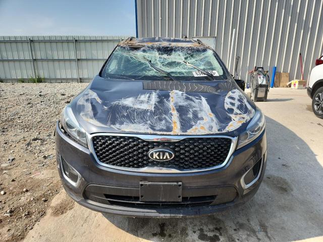 2017 KIA SORENTO LX 5XYPG4A32HG256205