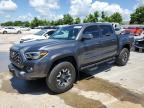 2023 TOYOTA TACOMA DOU - 3TYCZ5AN6PT132234
