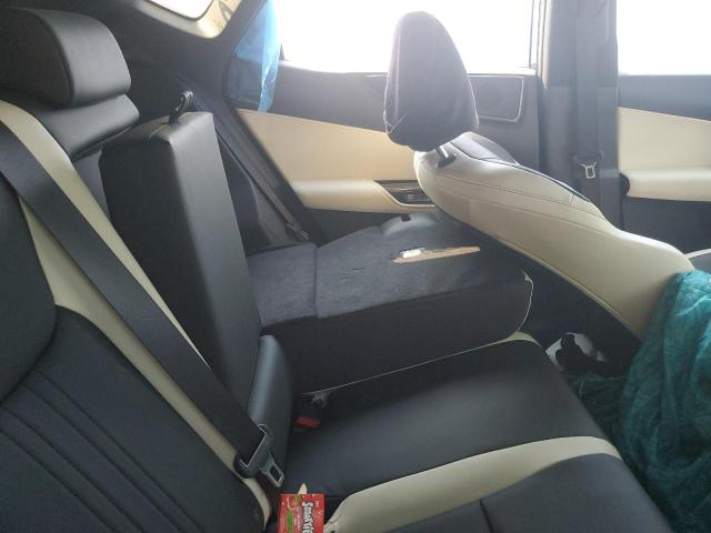 2024 LEXUS NX 350H BA #3315846183