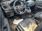 Lot #3302651013 2020 HONDA CR-V EXL
