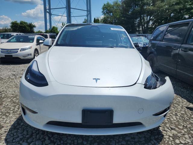 2023 TESLA MODEL Y 7SAYGAEE6PF803385