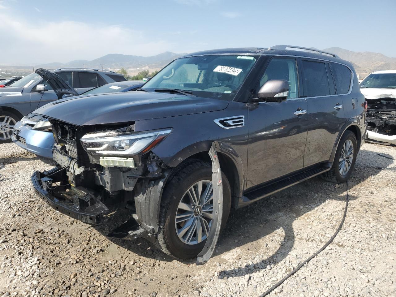 Lot #3205085901 2024 INFINITI QX80 LUXE