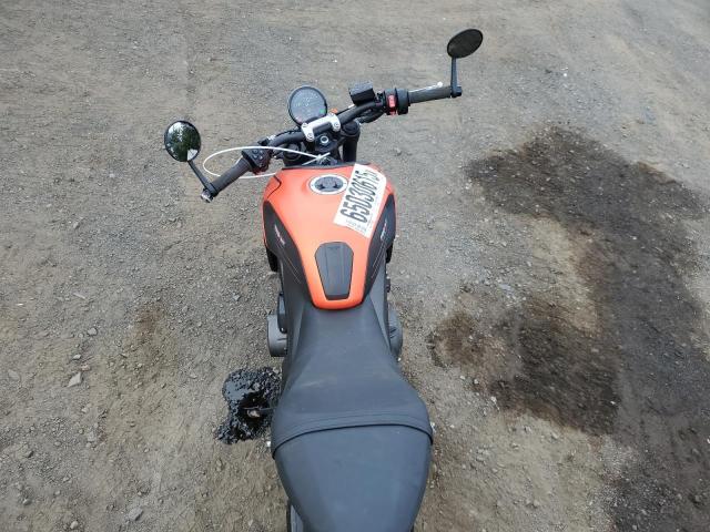 2023 TRIUMPH MOTORCYCLE TRIDENT 66 - SMTL10UL8PTBK1564