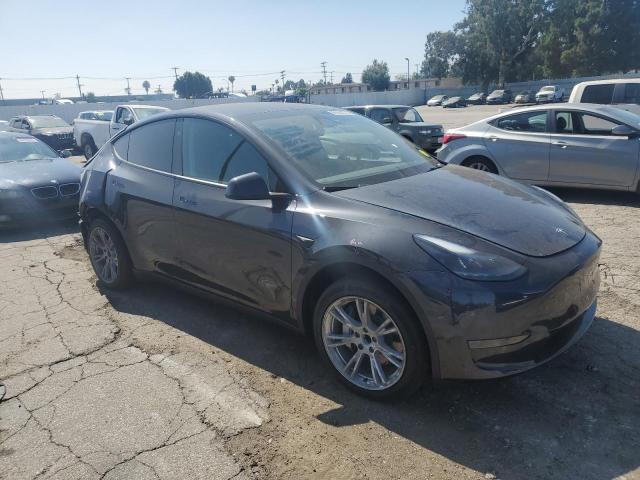 2024 TESLA MODEL Y 7SAYGDED4RF050208