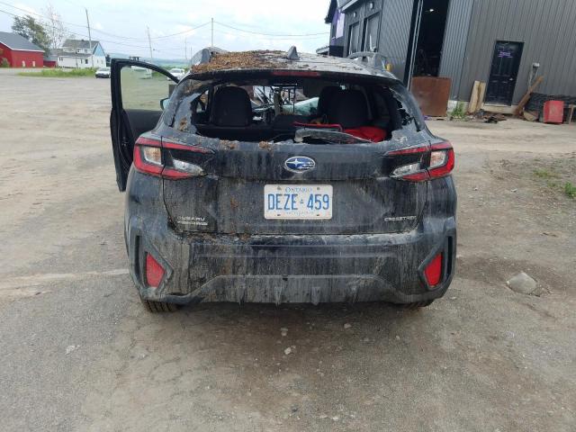 2025 SUBARU CROSSTREK JF2GUABC3S8217919