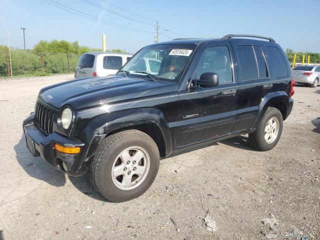 JEEP LIBERTY LI