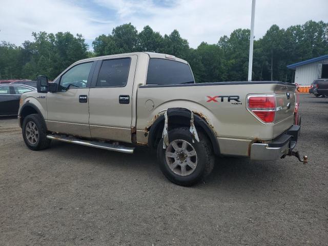 Vin: 1ftew1e88afd58115, lot: 62996725, ford f-150 supercrew 20102