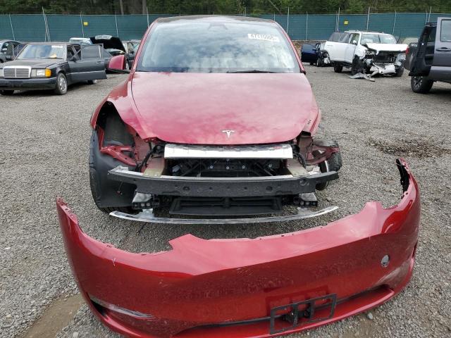 2025 TESLA MODEL Y 7SAYGDEE2SF281526