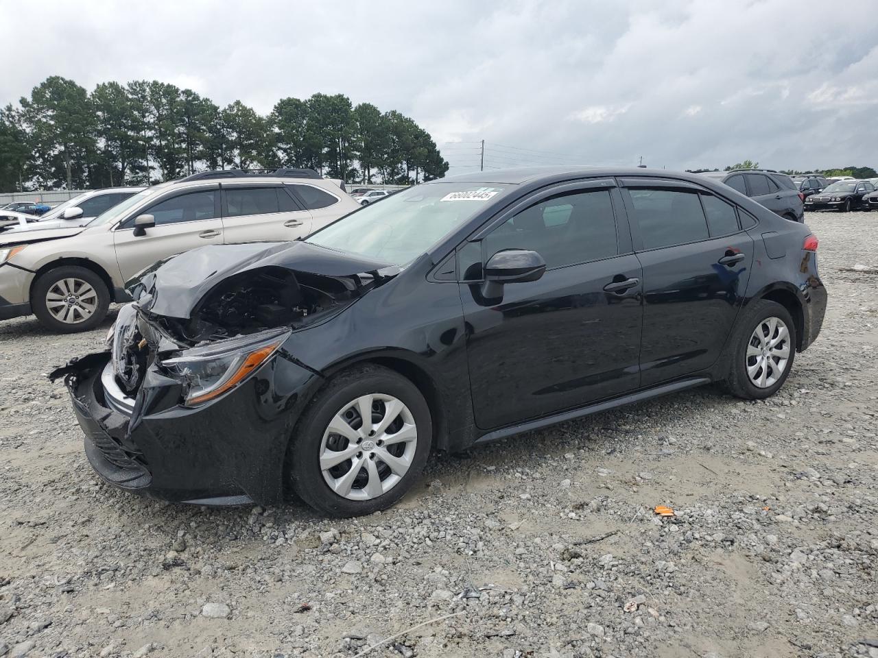 Global Auto Auctions