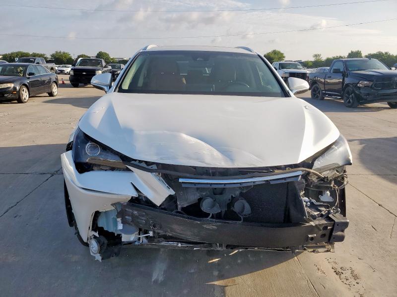 2019 LEXUS NX 300 BAS JTJYARBZ7K2131754