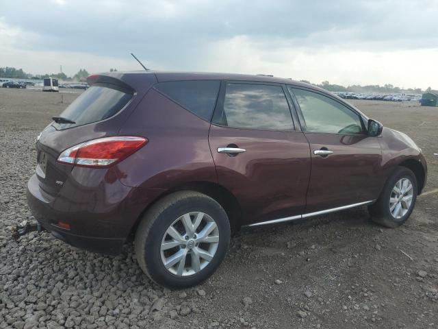 2013 NISSAN MURANO S - JN8AZ1MW1DW315220