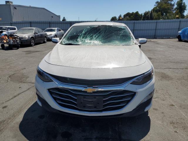 2019 CHEVROLET MALIBU LT - 1G1ZD5ST9KF166803