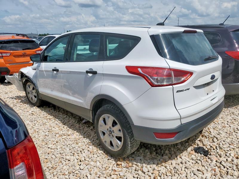 2014 FORD ESCAPE S - 1FMCU0F77EUC36937