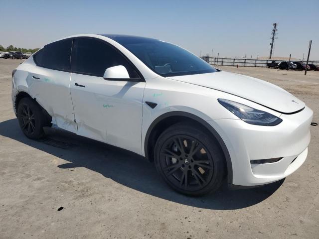 2023 TESLA MODEL Y - 7SAYGDEEXPA036901