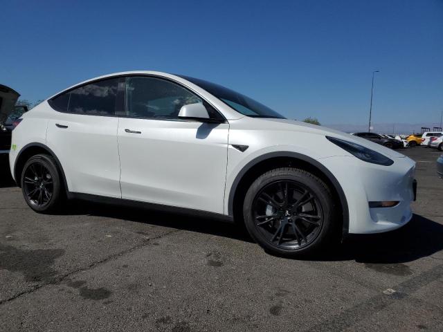2023 TESLA MODEL Y - 7SAYGDEE6PA068597