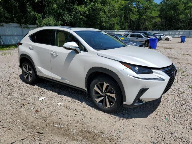 2021 LEXUS NX 300H BA JTJGJRDZ7M5015626