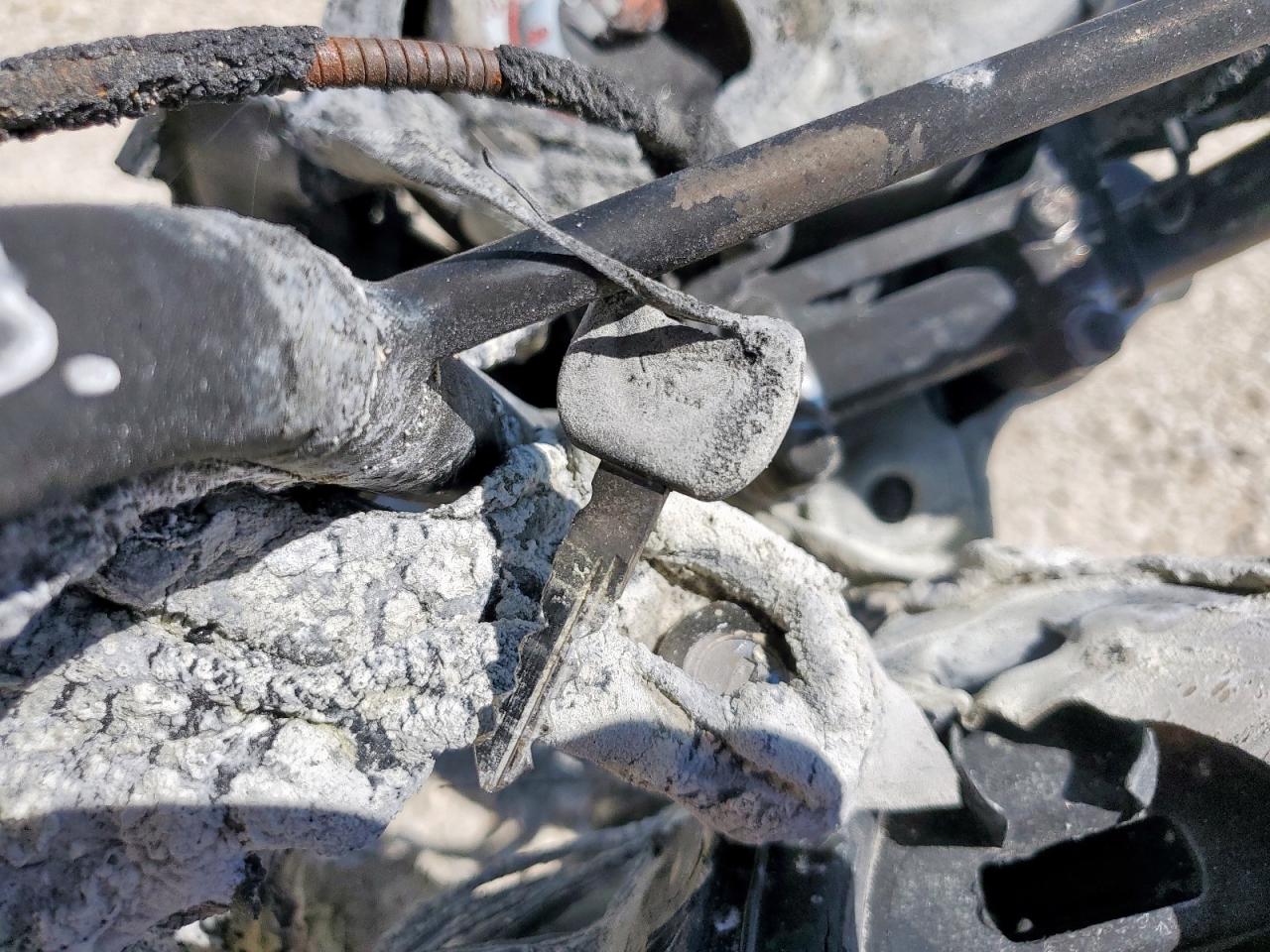 Lot #3220423640 2023 HONDA NVA110 B