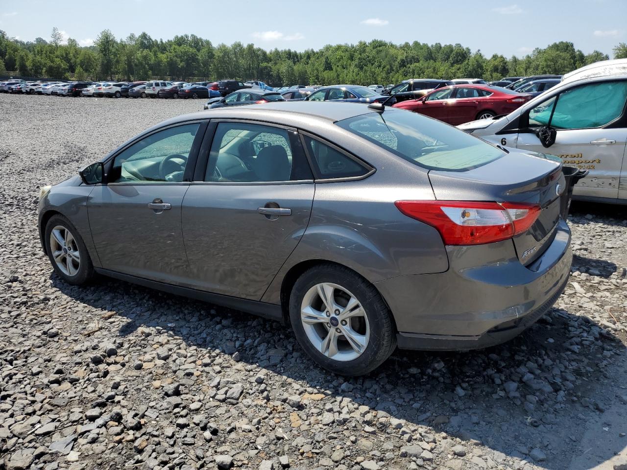 Lot #3317786074 2014 FORD FOCUS SE